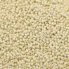 TOHO 11/0 Round Beads SEED-TR11-0051F-2