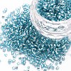 Glass Bugle Beads SEED-S032-08A-23-1