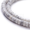 Natural Howlite Beads Strands G-H230-38-3