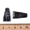 Natural Larvikite Pendants G-Q601-10A-3