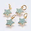 Brass Micro Pave Cubic Zirconia Charms RB-I077-21G-RS-1