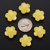 Imitation Jelly Acrylic Beads MACR-S373-87-E07-4
