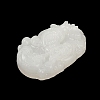 Natural White Jade Carved Pendants G-S384-01J-3