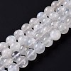 Natural Rainbow Moonstone Beads Strands G-I249-B04-06-2