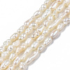 Natural Cultured Freshwater Pearl Beads Strands PEAR-N012-02F-3