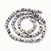 Natural Dalmatian Jasper Beads Strands X-GSR4mmC004-3