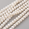 Natural Cultured Freshwater Pearl Beads Strands PEAR-G007-32-1