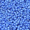 8/0 Glass Seed Beads X1-SEED-A010-3mm-43B-2