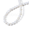 Natural Freshwater Shell Beads Strands X-BSHE-T009B-01A-2