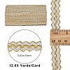 11M Polyester Curtain Lace Trimmer Ribbon OCOR-WH0082-33B-2