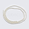Natural Cultured Freshwater Pearl Beads Strands X1-PEAR-F007-83-2
