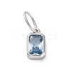 925 Sterling Silver Cubic Zirconia Charms STER-NH0014-01P-03-1