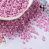 Baking Paint Glass Seed Beads X-SEED-S042-15A-04-1