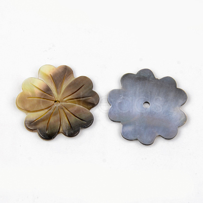 Natural Black Lip Shell Beads SHEL-R049-011-1