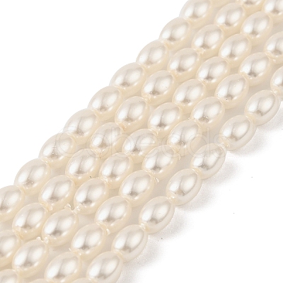 Electroplated Shell Pearl Beads Strands BSHE-Z009-10C-1