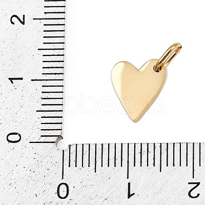 304 Stainless Steel Charms STAS-L291-01G-J-1