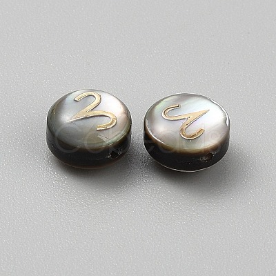 Natural Black Lip Shell Gold Enamel Beads SSHEL-WH0007-01A-1