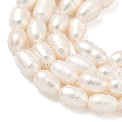 Natural Cultured Freshwater Pearl Beads Strands PEAR-D003-01D-14-1