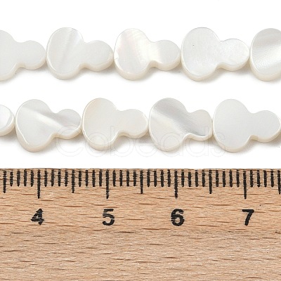 Natural Freshwater Shell Beads Strands SHEL-K010-02A-1