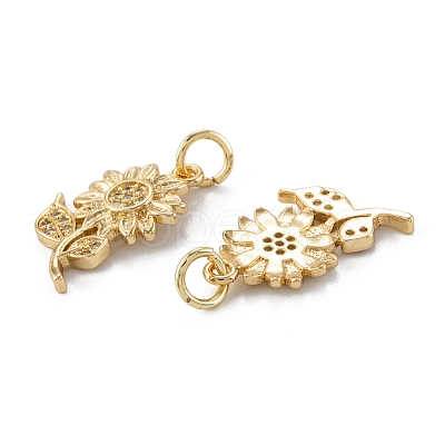 Brass Micro Pave Clear Cubic Zirconia Pendants ZIRC-P088-02G-1