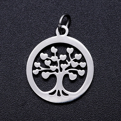 304 Stainless Steel Pendants STAS-T046-JA350-1A-P-1