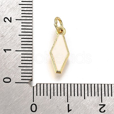 Brass Enamel Charms KK-C106-02G-1