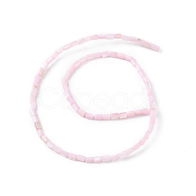Natural Freshwater Shell Dyed Beads Strands SHEL-M018-12-09-1