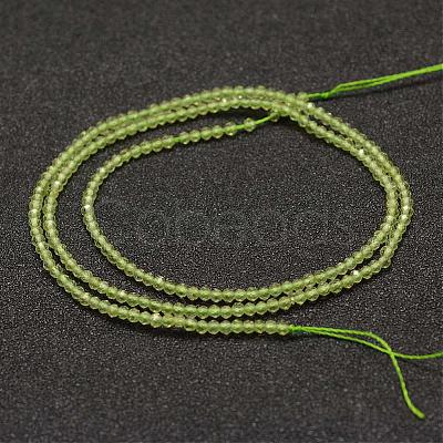 Natural Peridot Beads Strands G-K182-2mm-28-1