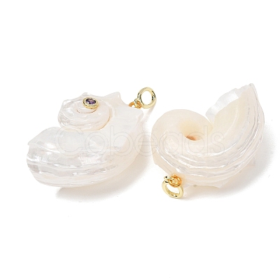 Natural Couch Shell Pendants SH-CBAB405-02G-1