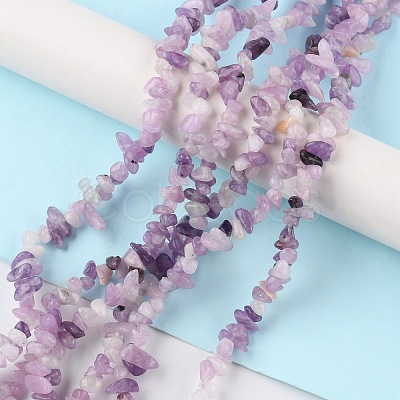 Natural Lepidolite/Purple Mica Stone Beads Strands G-G0003-B07-1