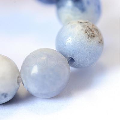 Natural Sodalite Round Bead Strands G-E334-4mm-08-1