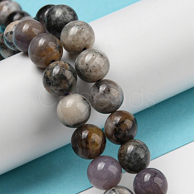 Natural Dendritic Jasper Beads Strands G-R494-A23-03-1