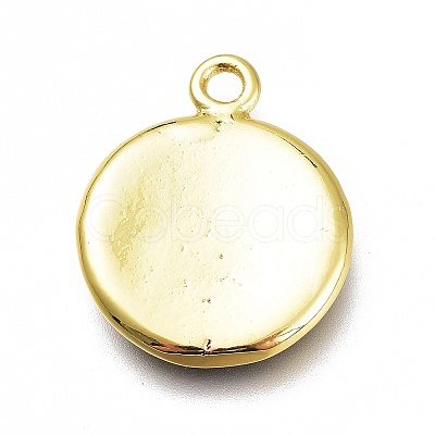 Brass Enamel Pendants KK-H103-02C-G-1