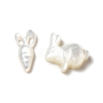 Natural Freshwater Shell Beads Sets BSHE-E026-10-1