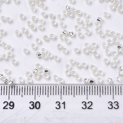 Glass Seed Beads SEED-S042-04A-06-1