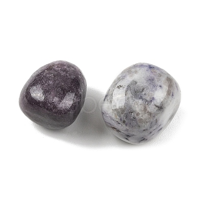 Natural Lepidolite Beads G-G348-01B-42-1