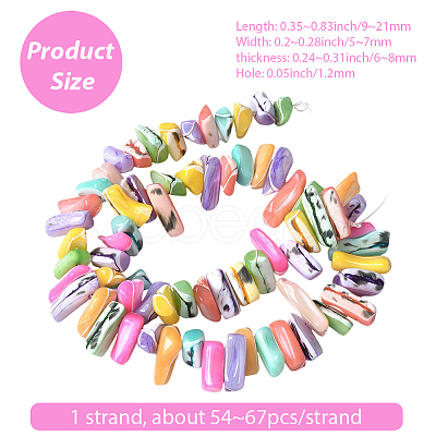 1 Strand Dyed Natural Trochus Shell Beads Strands SSHEL-PA0001-01A-1