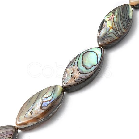 Natural Paua Shell Beads Strands SHEL-F006-05-1