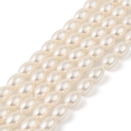 Electroplated Shell Pearl Beads Strands BSHE-Z009-10C-1