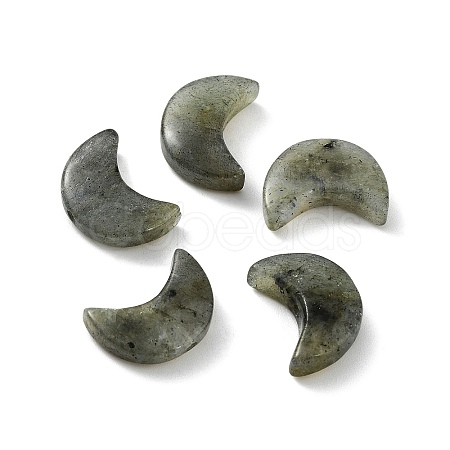 Natural Labradorite Beads X-G-NH0001-01D-1