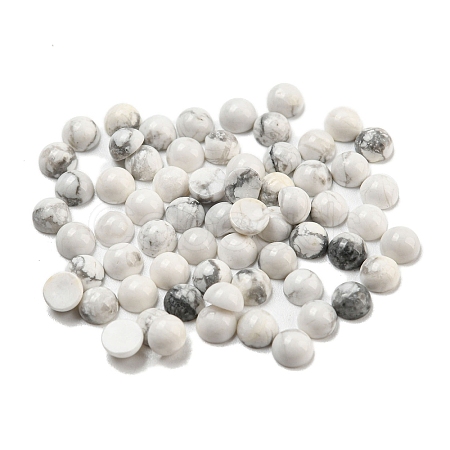 Natural Howlite Jade Cabochons G-H309-03-53-1