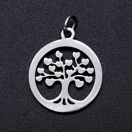 304 Stainless Steel Pendants STAS-T046-JA350-1A-P-1