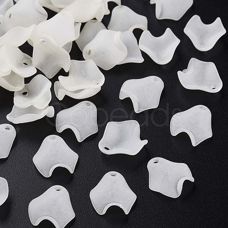 Transparent Acrylic Beads X-MACR-S373-106-D07-1