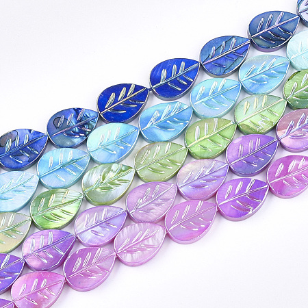 Freshwater Shell Beads Strands SHEL-S274-61-1