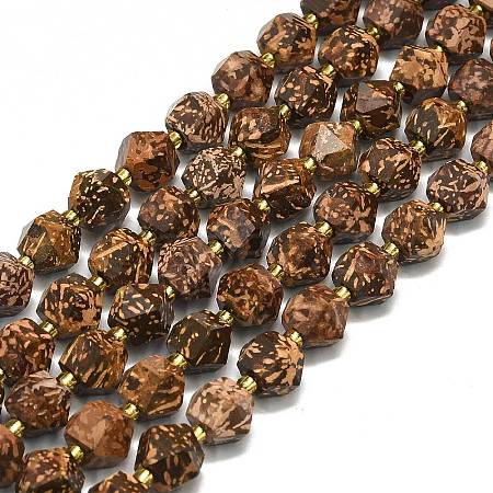 Natural Starburst Jasper Beads Strands G-I376-A60-01-1