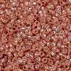 MIYUKI Round Rocailles Beads SEED-X0056-RR0642-3