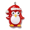 Opaque Resin Pendants RESI-D055-004P-2