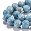 Natural Gemstone Beads Strands X-G-L367-01-6mm-5