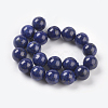 Natural Lapis Lazuli Beads Strands X-G-G087-10mm-2