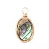 Natural Abalone Shell/Paua Shell Pendants X-PALLOY-JF00457-02-2